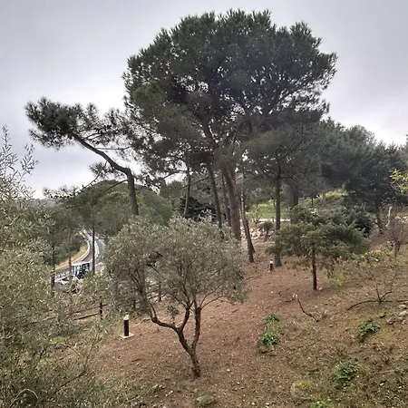 2 Pieces 4 Couchages Sur Bn100-b401 * Banyuls-sur-Mer